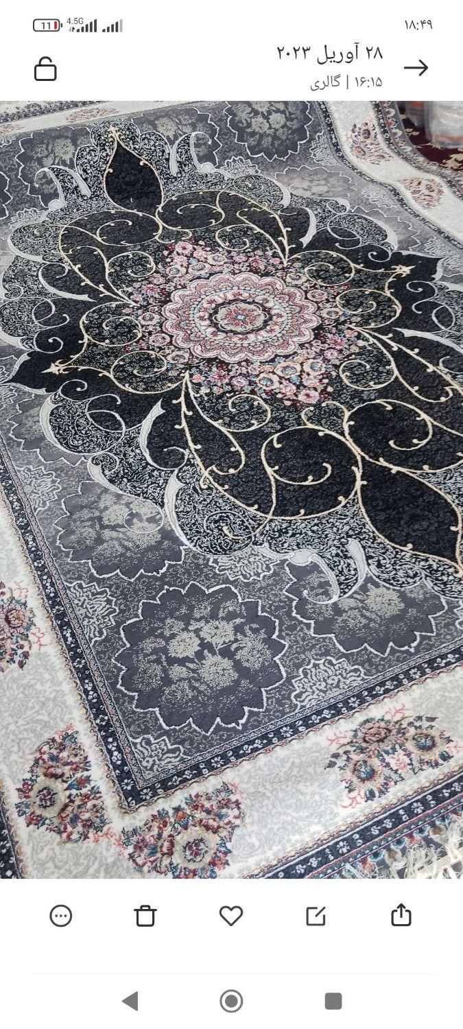 فرش سانیا|فرش|کرج, برغان|دیوار