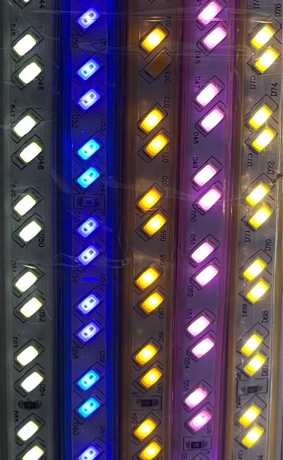 ریسه شلنگی smd دولاین تراکم بالا|ریسه و چراغ تزئینی|رشت, دباغیان|دیوار