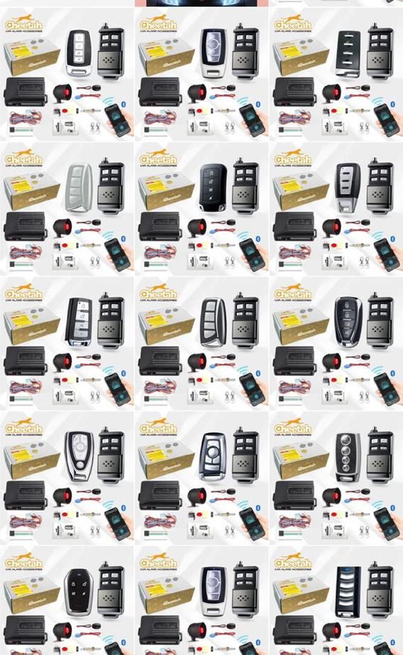 دزدگیر تصویری ساده|قطعات یدکی و لوازم جانبی|تهران, تهرانپارس شرقی|دیوار