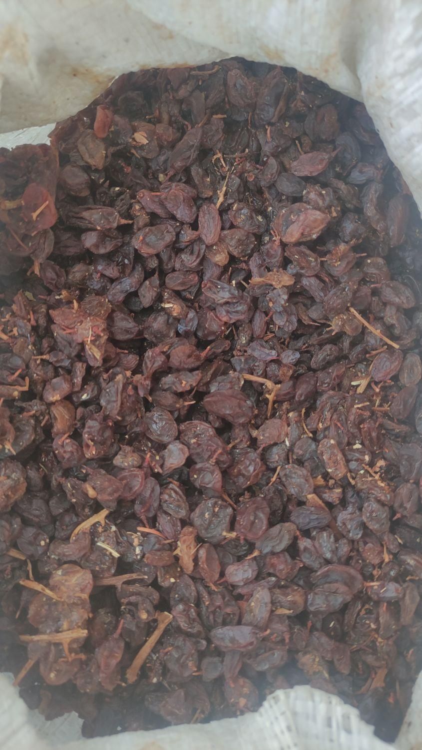 کشمش آبگیری|خوردنی و آشامیدنی|کرج, مهرویلا|دیوار