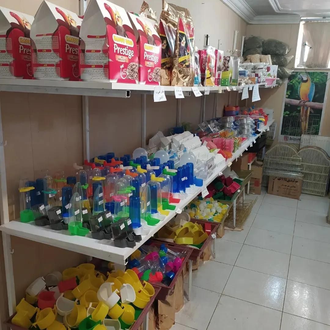 دنیای قفس و لوازم جانبی پرندگان زینتی|لوازم جانبی حیوانات|تبریز, |دیوار