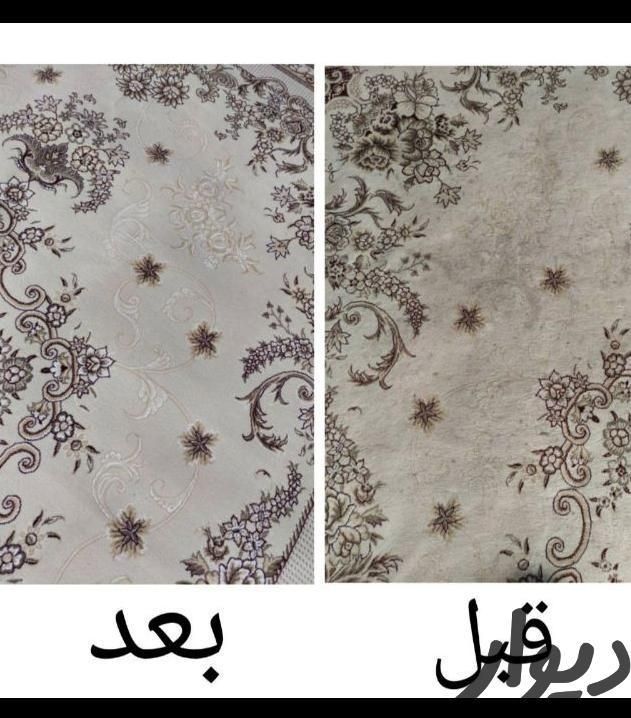 قالیشویی ومبل شویی فضل یعقوبی|خدمات نظافت|نیشابور, |دیوار