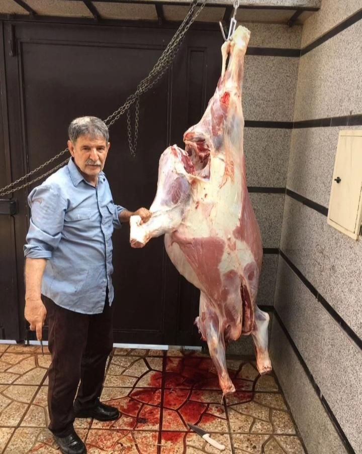 ذبح وقصاب وسلاخ فروش گاو وگوساله وگوسفندشبانه روزی|خدمات پذیرایی، مراسم|تهران, امام زاده حسن|دیوار