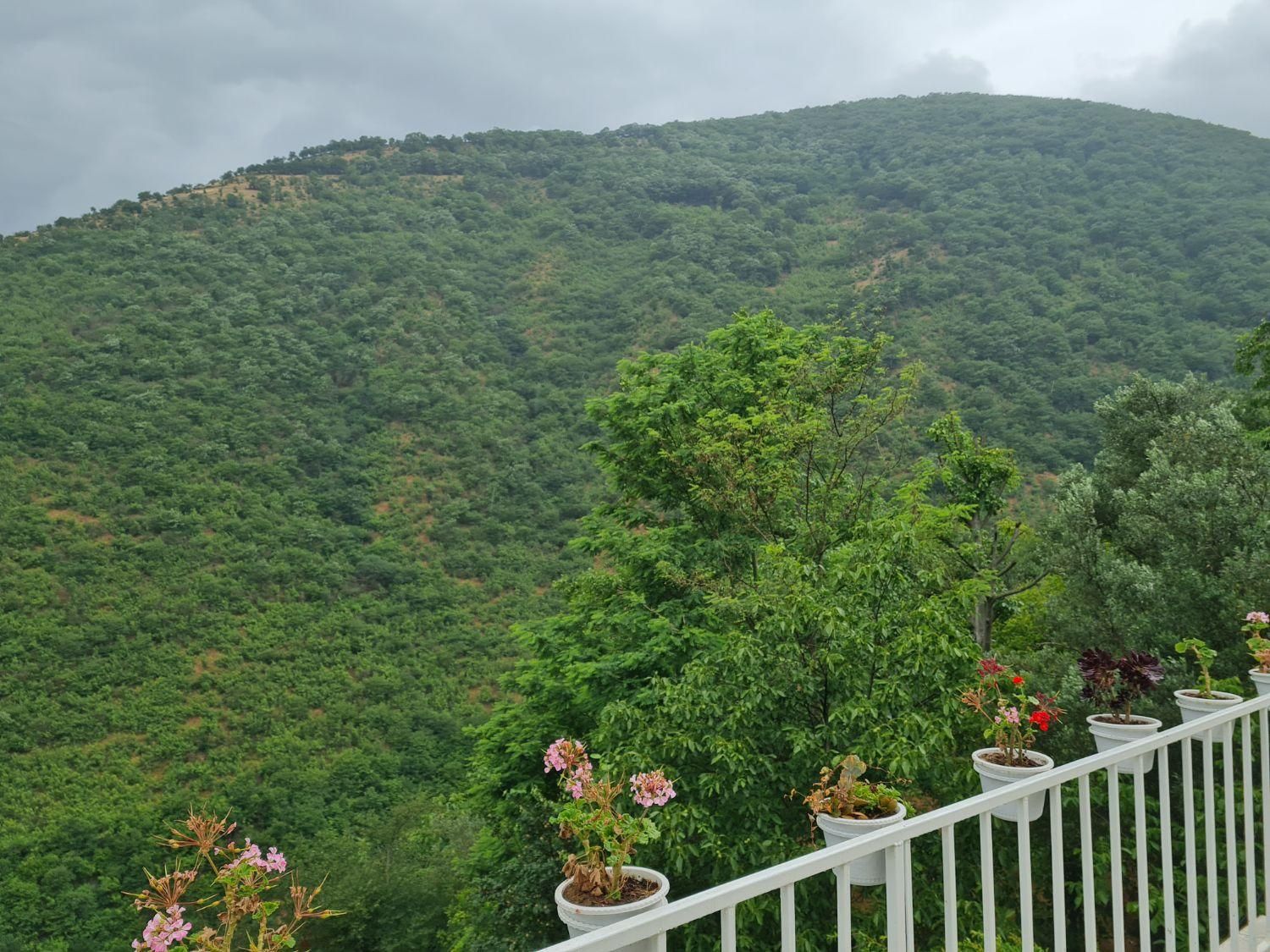 اجاره ویلا وسویت|اجارهٔ کوتاهمدت ویلا و باغ|رستمآباد, |دیوار