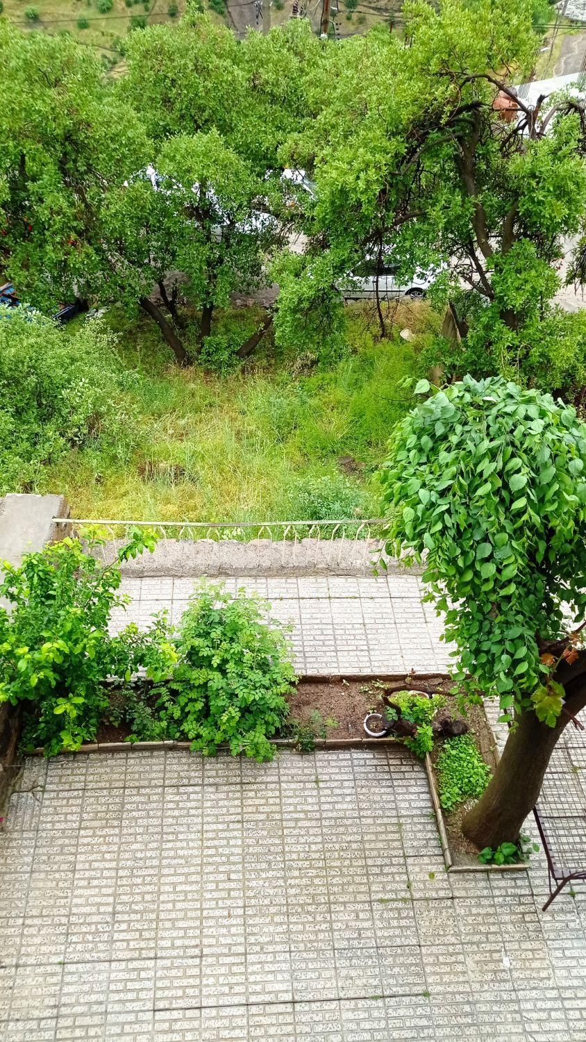 سویت خانه اجاره‌ای درپاوه روستای دشه امکانات کامل|اجارهٔ کوتاه‌مدت آپارتمان و سوئیت|پاوه, |دیوار