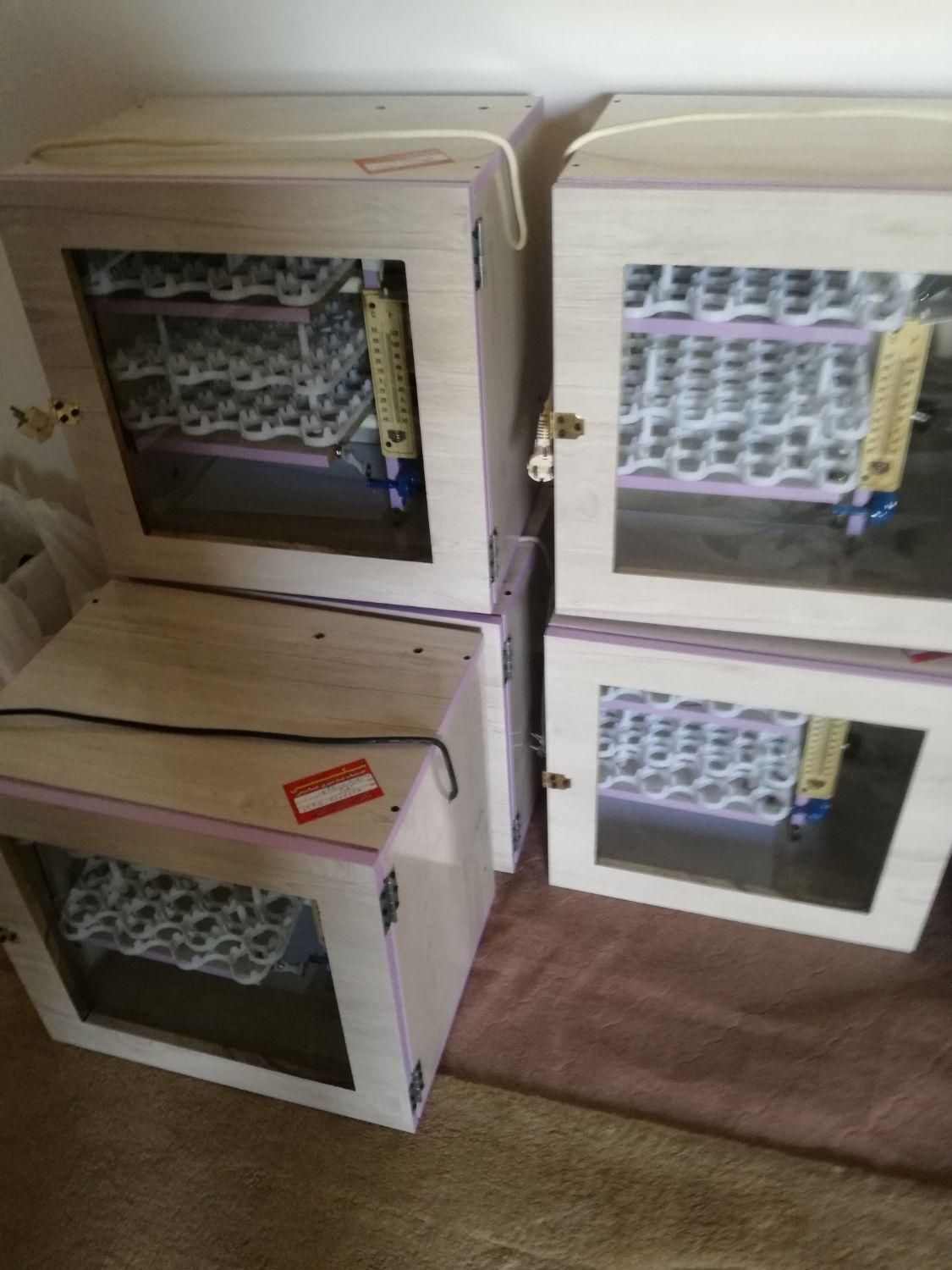 دستگاه جوجه کشی|لوازم جانبی حیوانات|بوشهر, |دیوار