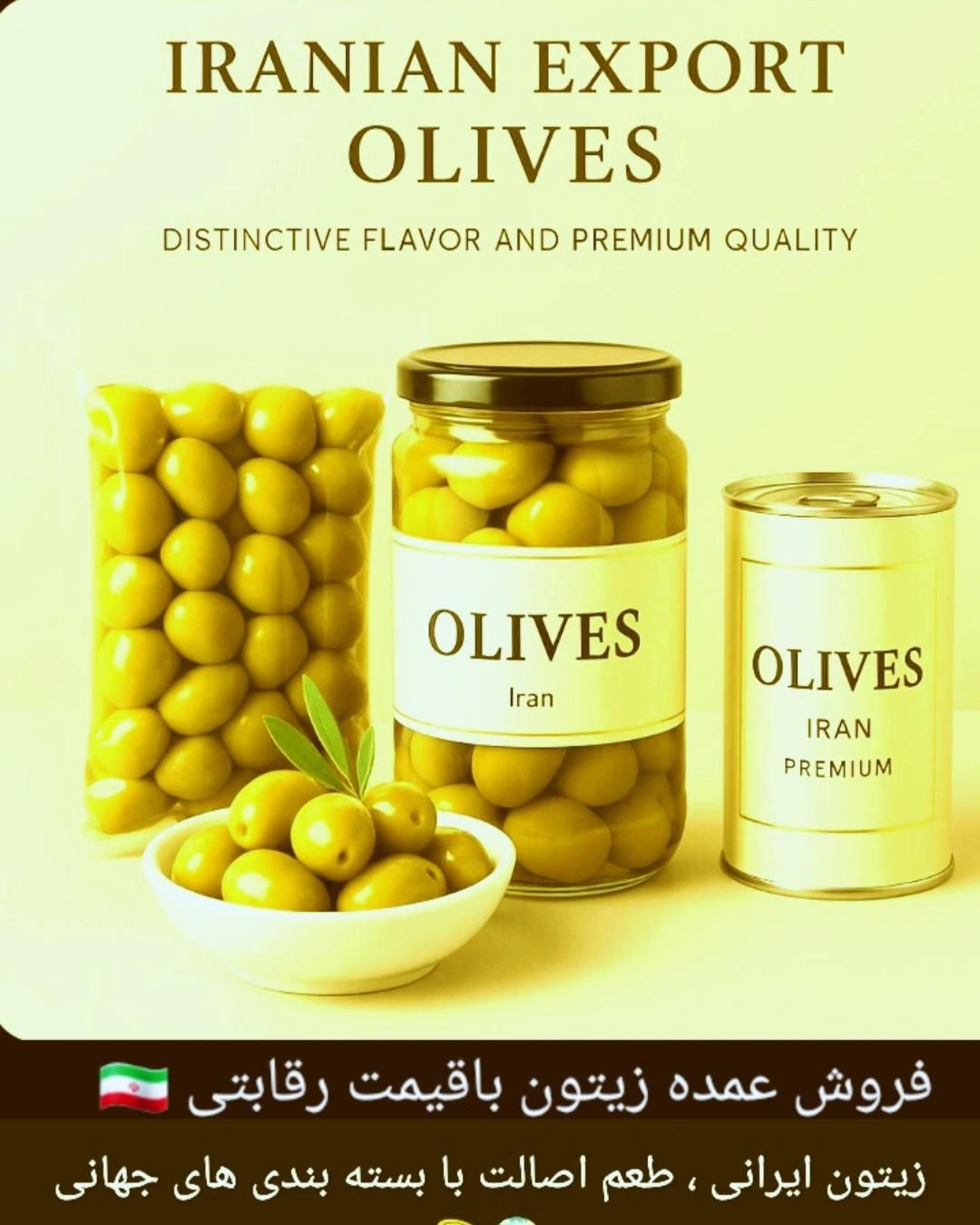 فروش عمده زیتون و روغن زیتون|خوردنی و آشامیدنی|رشت, نخودچر|دیوار