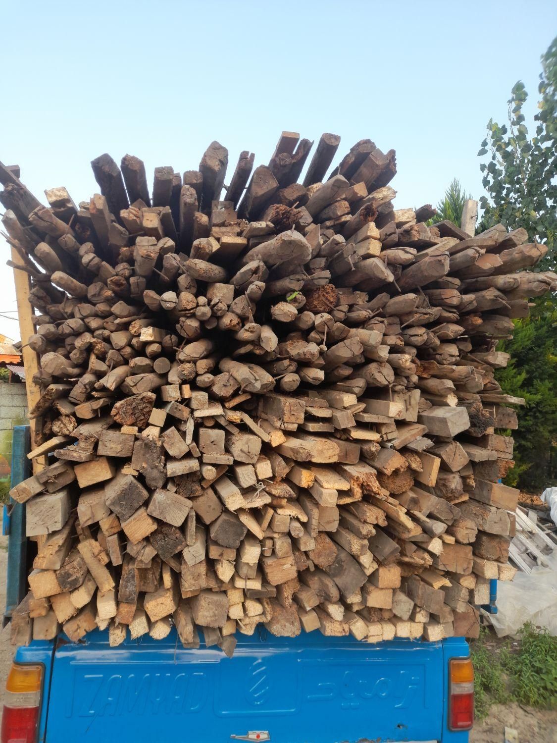 خریدار چوب  ساختمانی .صنوبر ومیوه ای وجنگلی .|خدمات باغبانی و درختکاری|رشت, نخودچر|دیوار