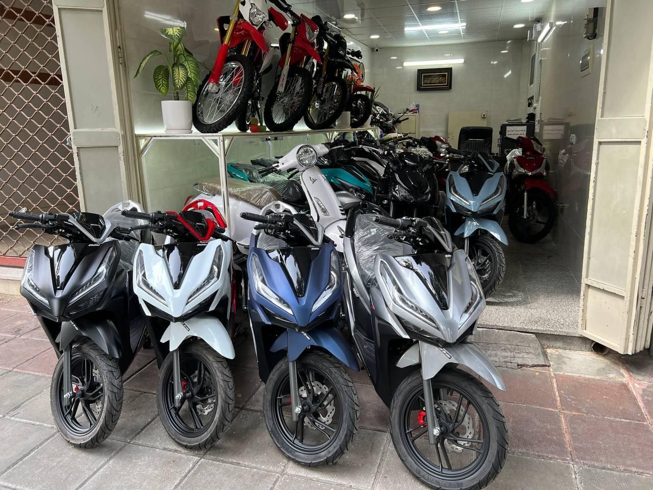 تریل پرواز 200CC مدل۱۴۰۳ فلات روان برمودا توسن|موتورسیکلت|اصفهان, لاله|دیوار