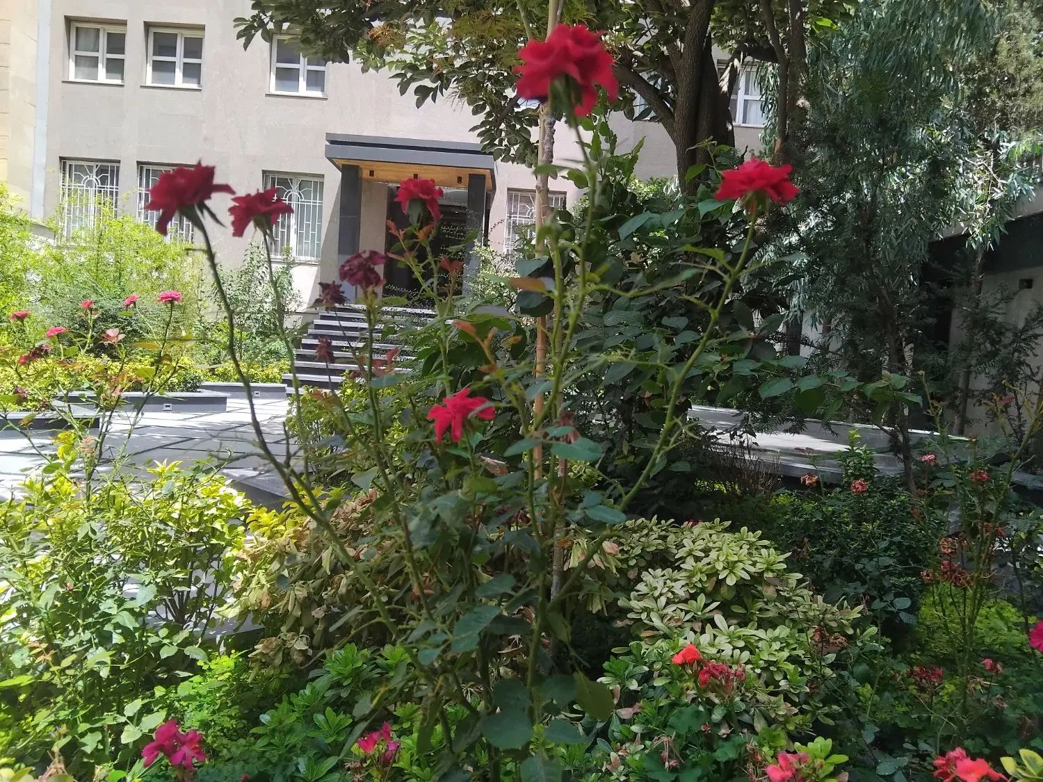 ۱۰۲مترتک واحدی تراس دار/نورشمال جنوب/ویو تهران|اجارهٔ آپارتمان|تهران, شهرک گلها|دیوار