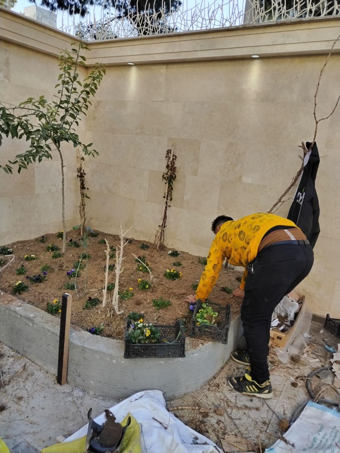 خدمات باغبانی وسمپاشی|خدمات باغبانی و درختکاری|نیشابور, |دیوار