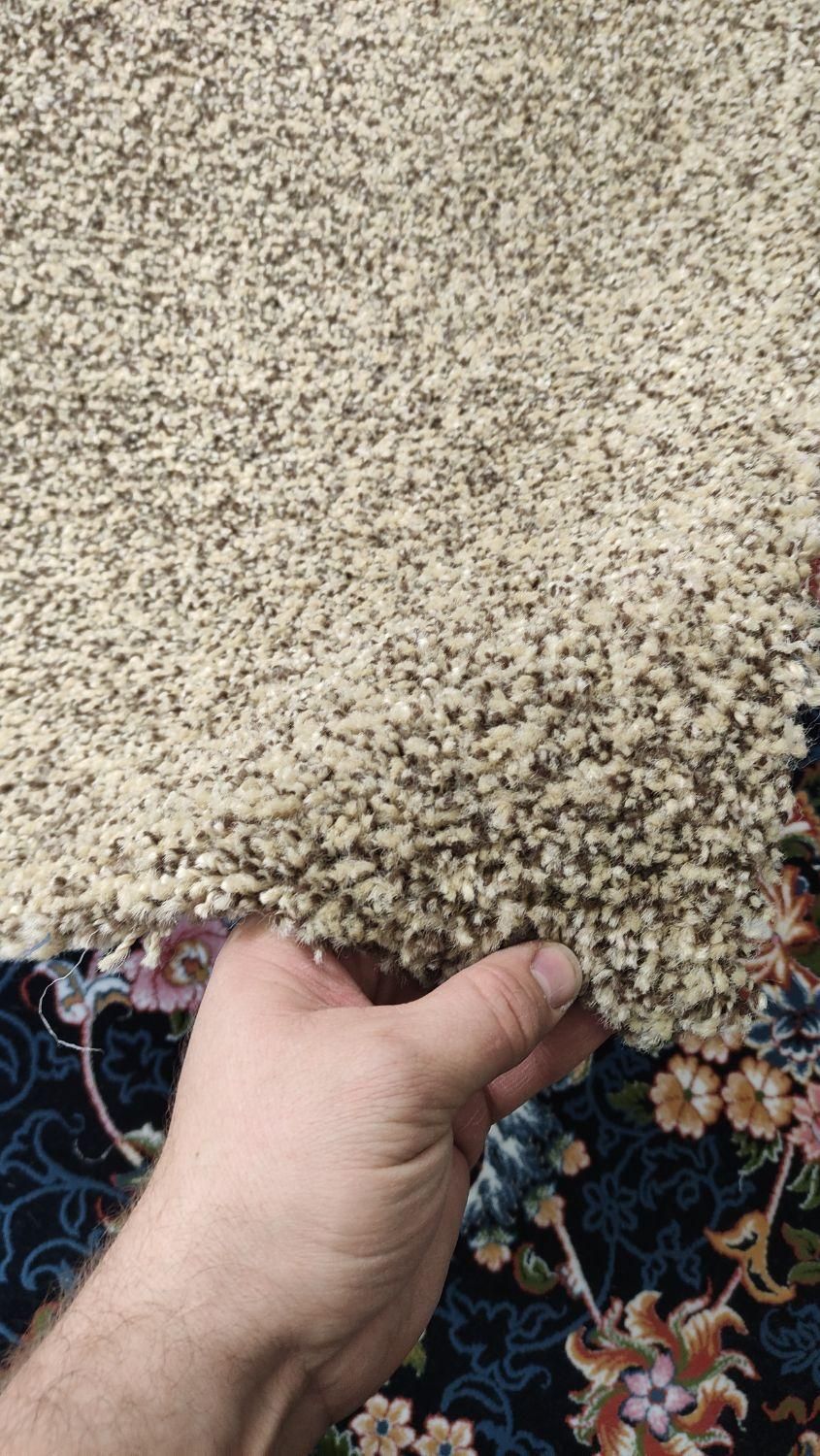 موکت برجسته۳در۴ سیدنی ریشه بلند ظریف مصور|موکت|پردیس, |دیوار