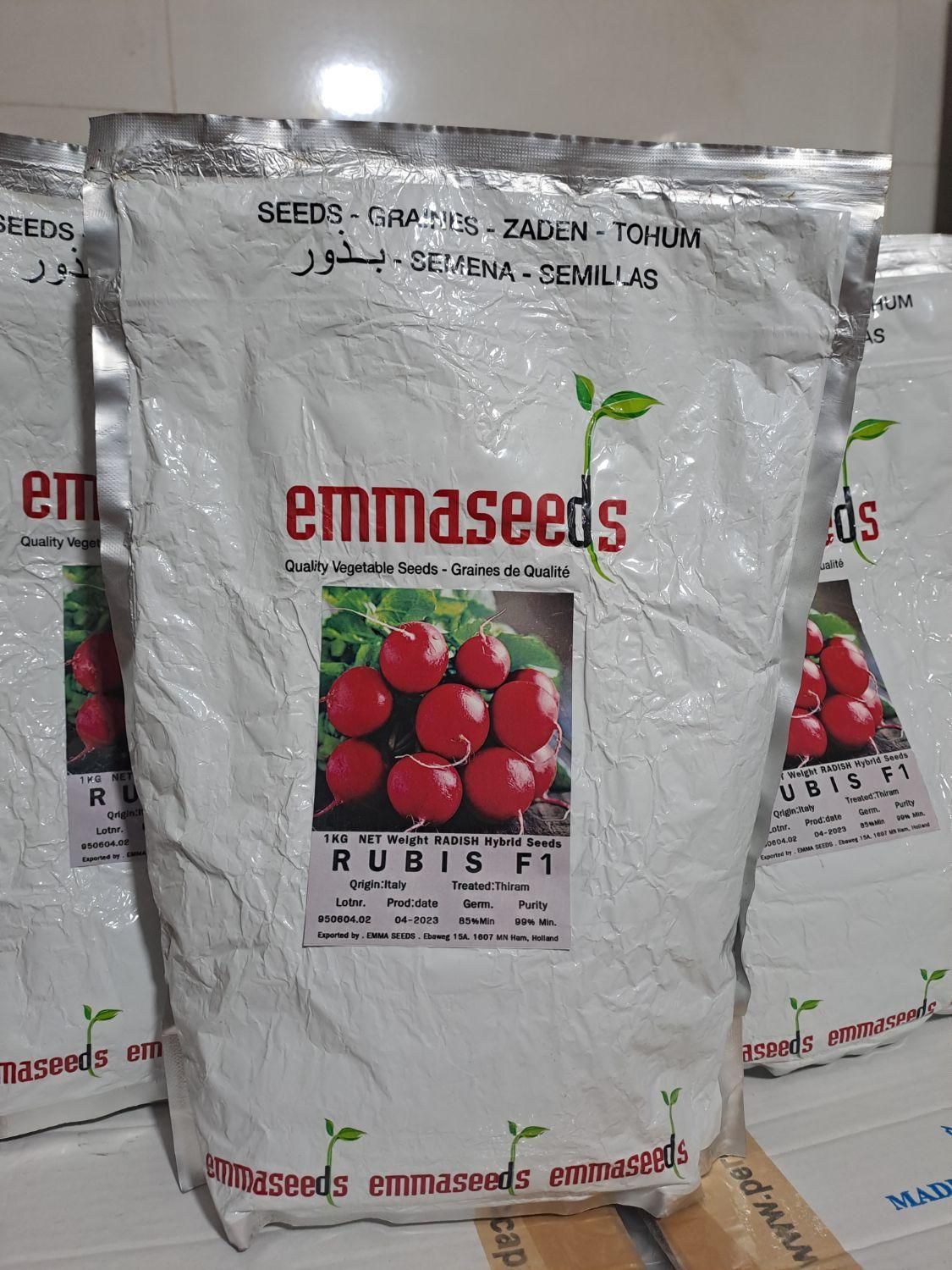 فروش بذر تربچه emmaseed F1|خدمات باغبانی و درختکاری|اصفهان, باغ فردوس|دیوار