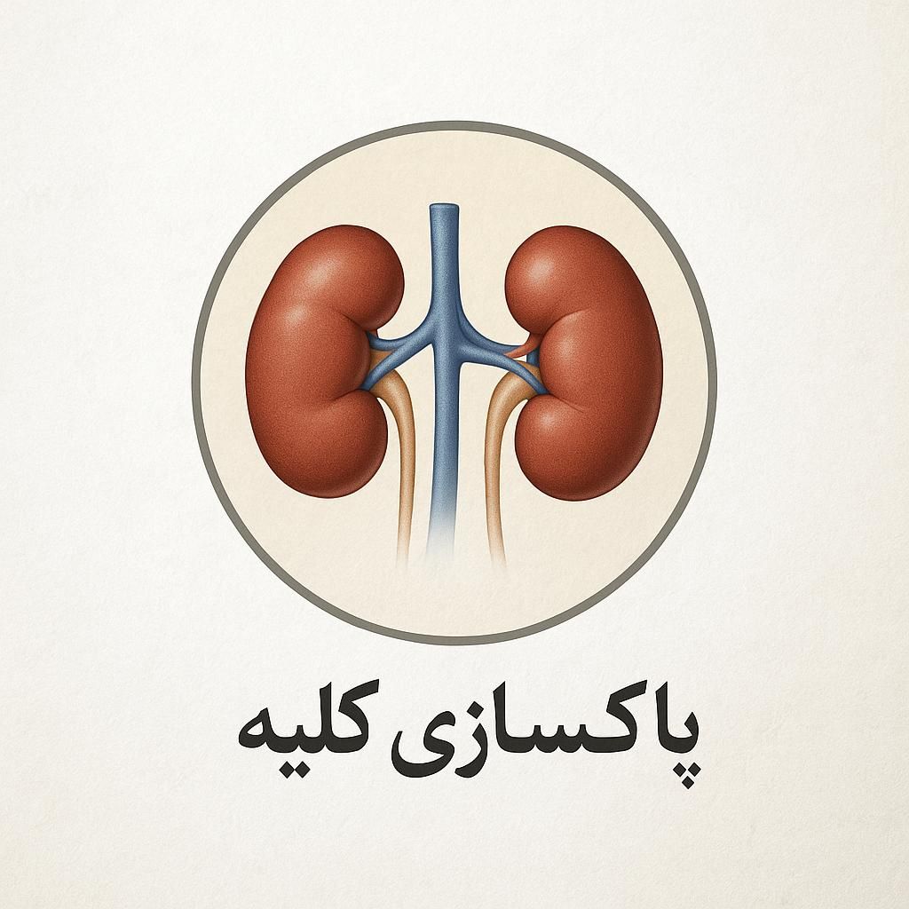 پاکسازی و درمان سنگ کلیه|خدمات آرایشگری و زیبایی|تهران, وردآورد|دیوار