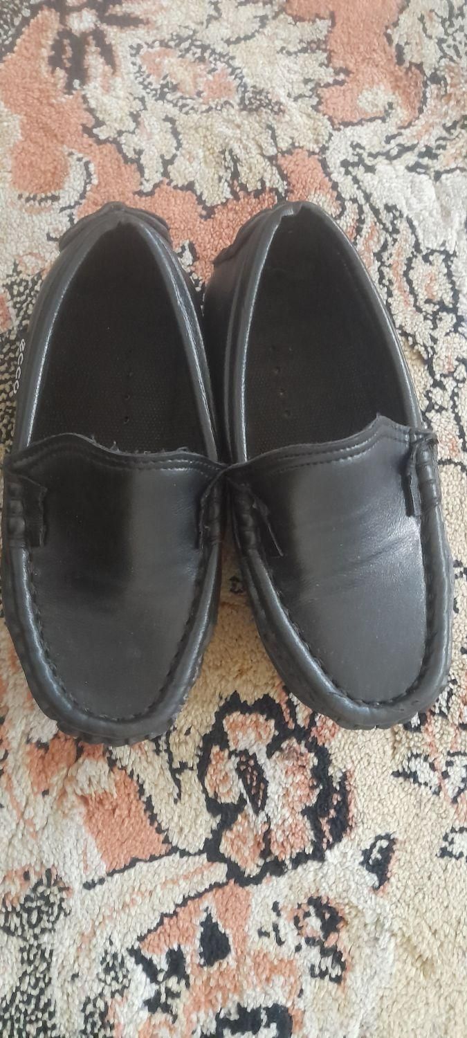 کفش پسرانه ودخترانه مجلسی|کفش و لباس بچه|سبزوار, شهدا|دیوار
