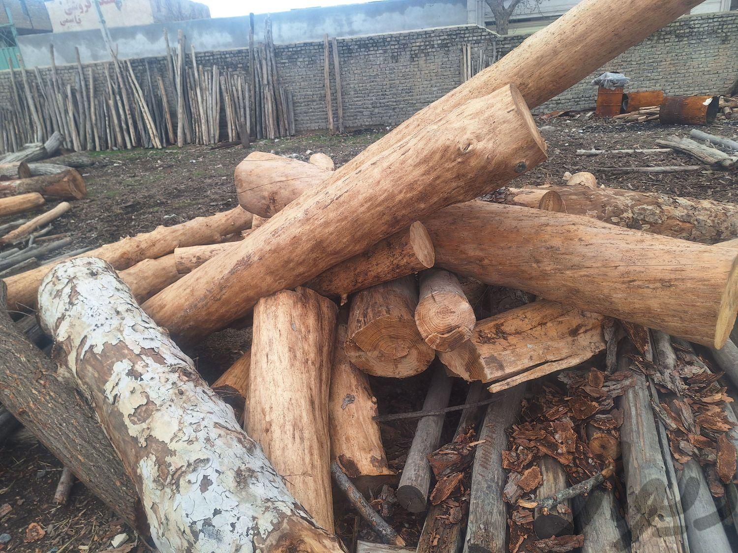 خریدار چوب خشک سقفی از کل کشور|خدمات باغبانی و درختکاری|سردشت, |دیوار