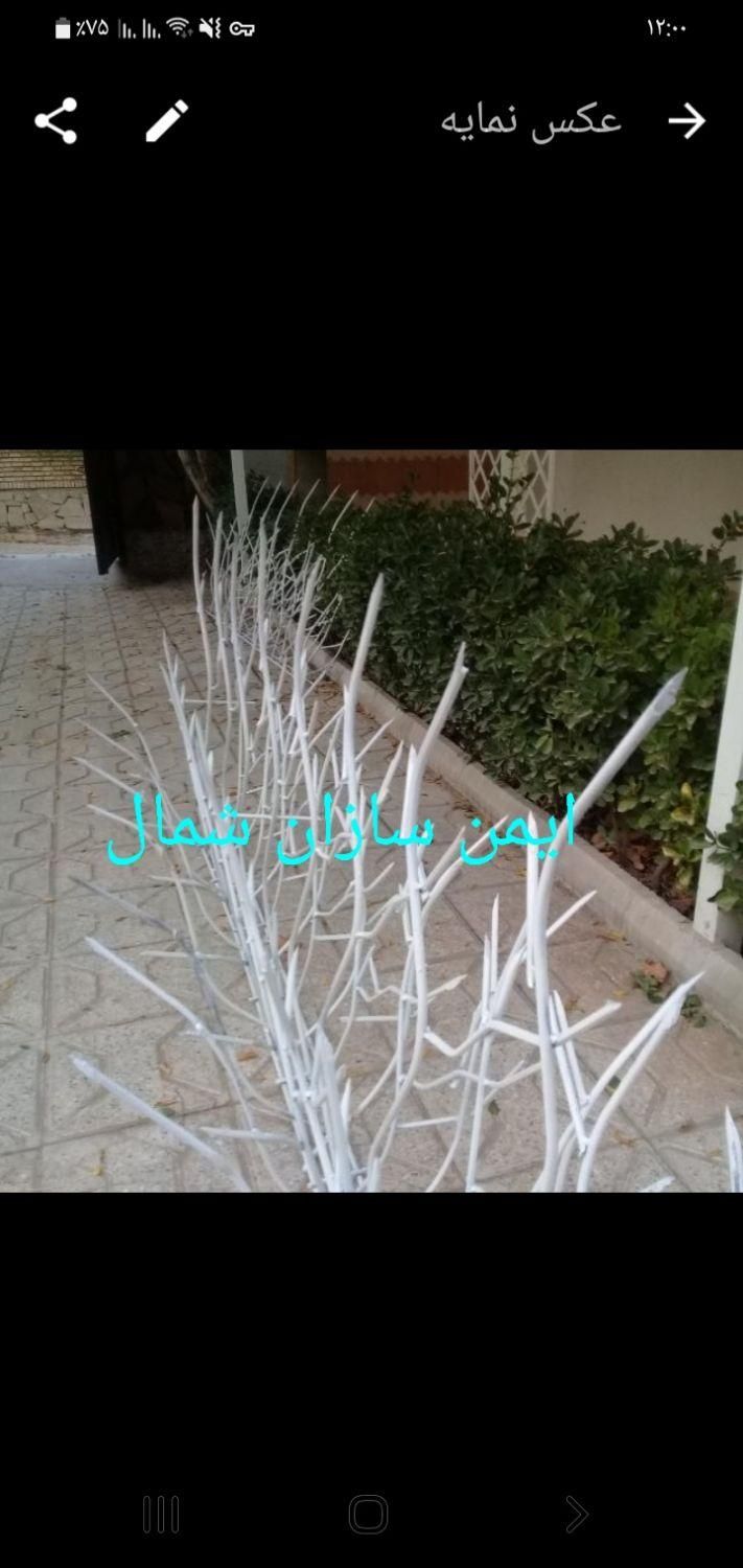 حفاظ شاخ گوزنی|خدمات پیشه و مهارت|رشت, جانبازان|دیوار