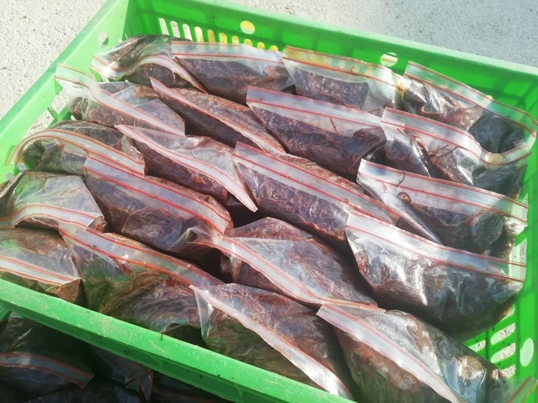 ورمی کمپوست،کرم خالص،بستر،خاکبرگ|خدمات باغبانی و درختکاری|شیراز, گویم|دیوار