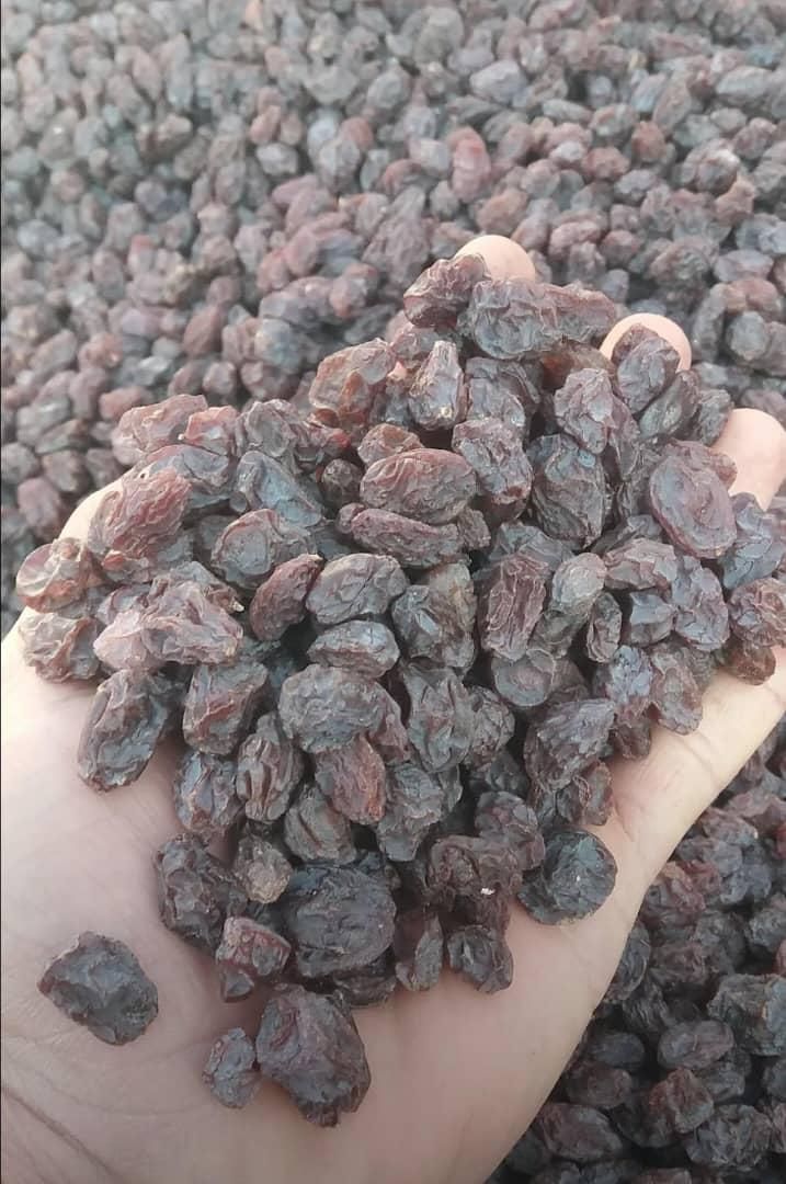 عمده فروشی مویز و کشمش خرما شیره استان فارس|عمده‌فروشی|شیراز, میانرود|دیوار