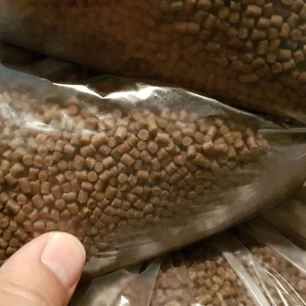 قوطی خوراک ماهی گوشتخوار و گیاه خوار کوی قرمز گوپی|ماهی|تهران, تجریش|دیوار
