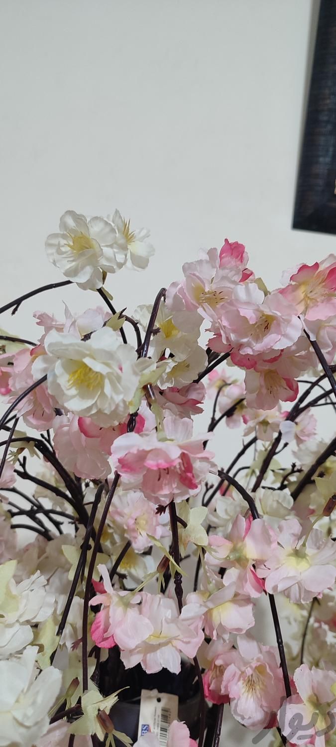 گل مصنوعی شکوفه|گل مصنوعی|صومعه‌سرا, |دیوار