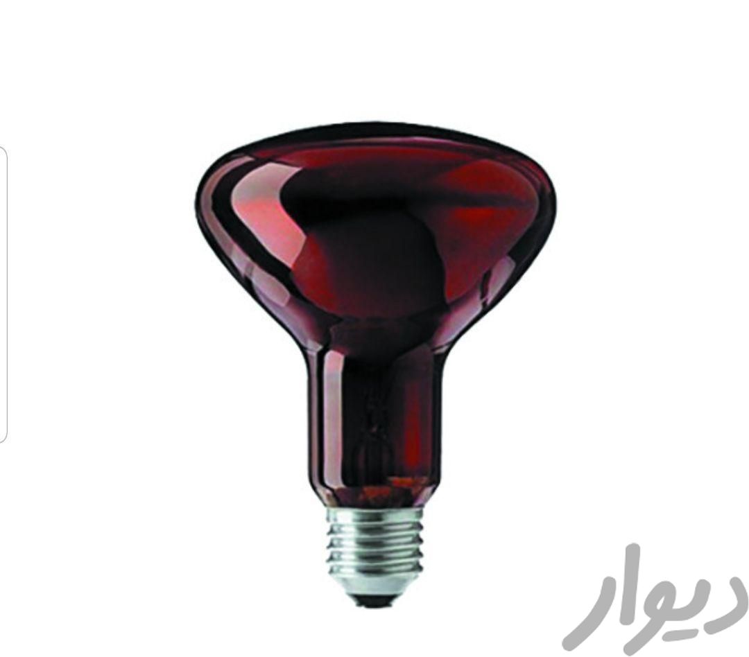 لامپ حرارتی مادون قرمز  (گرمایشی) ۲۵۰ وات E27|لامپ و چراغ|تهران, فردوسی|دیوار