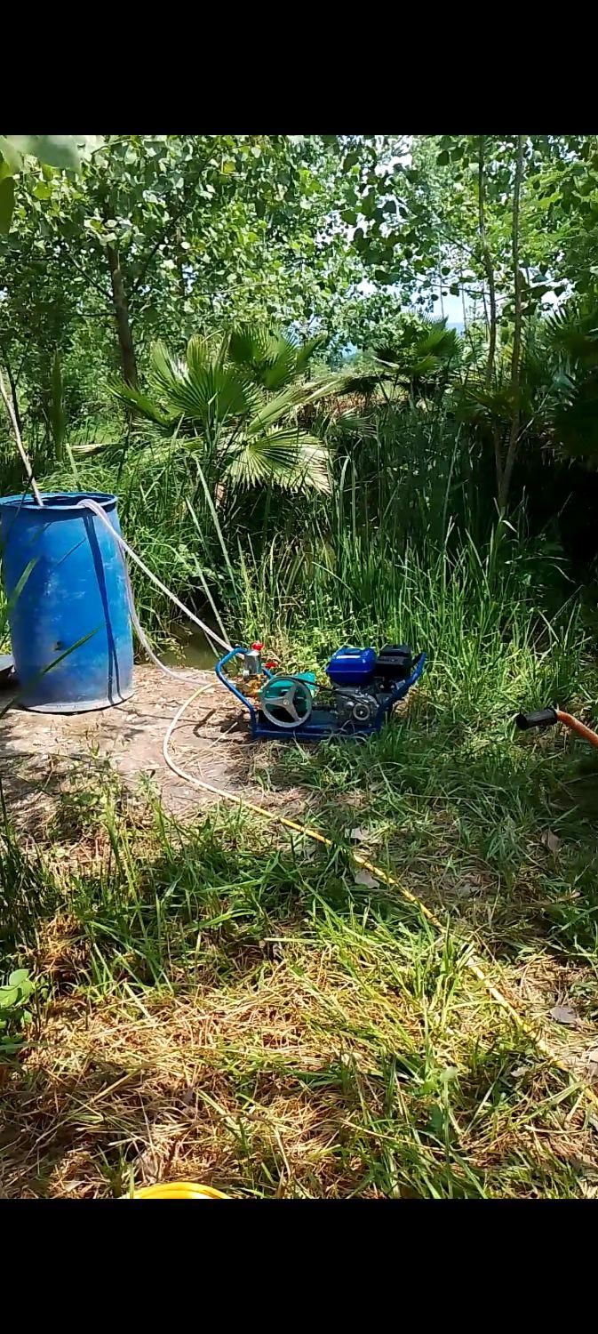 محوطه سازی.هرس گل و نهال .شخم.علف زنی.سم زنی|خدمات باغبانی و درختکاری|رشت, آزادگان|دیوار