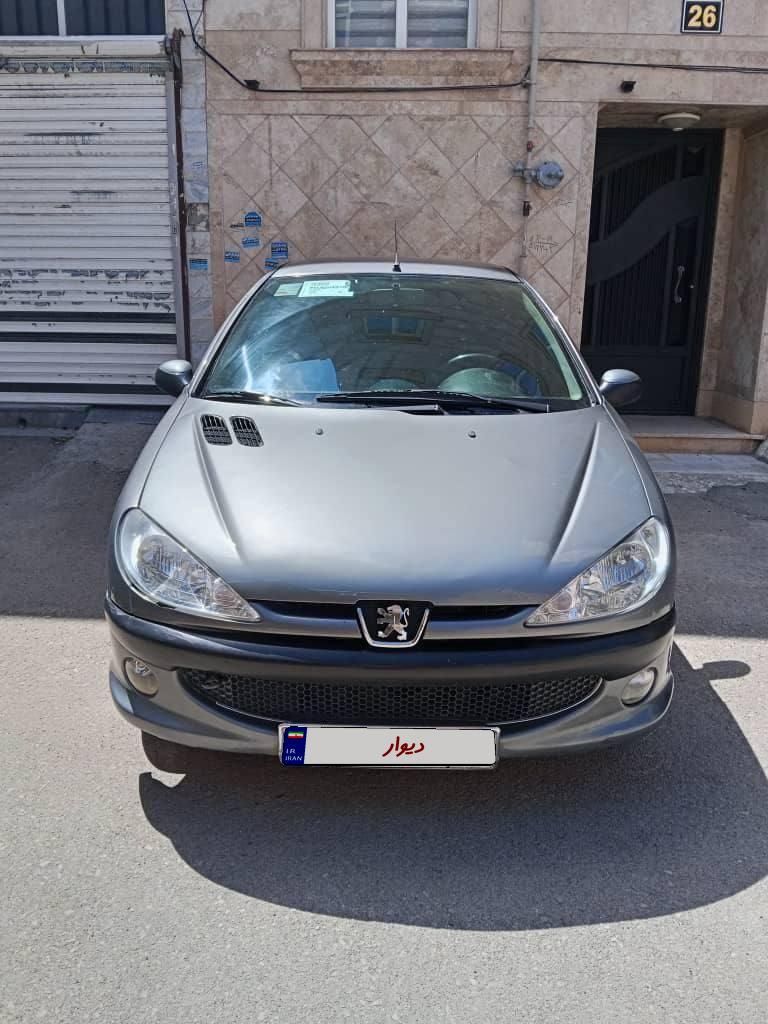 206 sd v8 سفارشی آریان|خودرو سواری و وانت|اردبیل, |دیوار