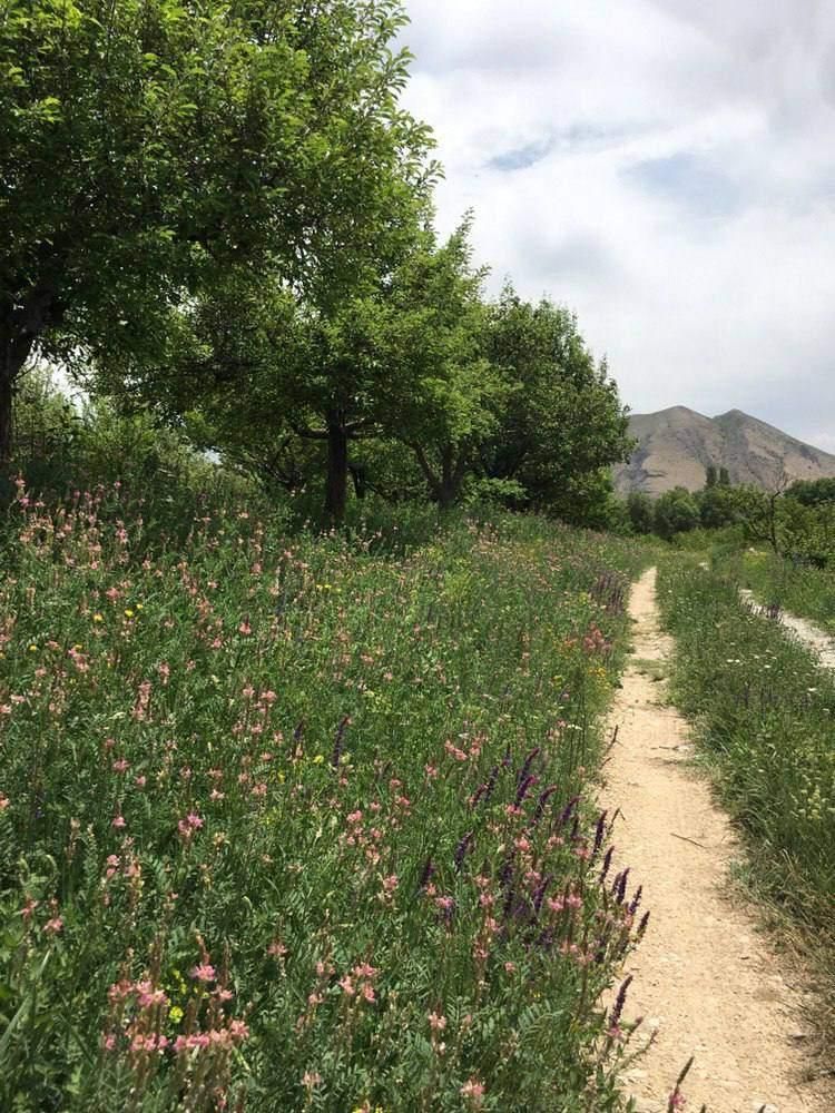فرصتی استثنایی برای آرامش در قلب طبیعت|فروش زمین و ملک کلنگی|ارجمند, |دیوار