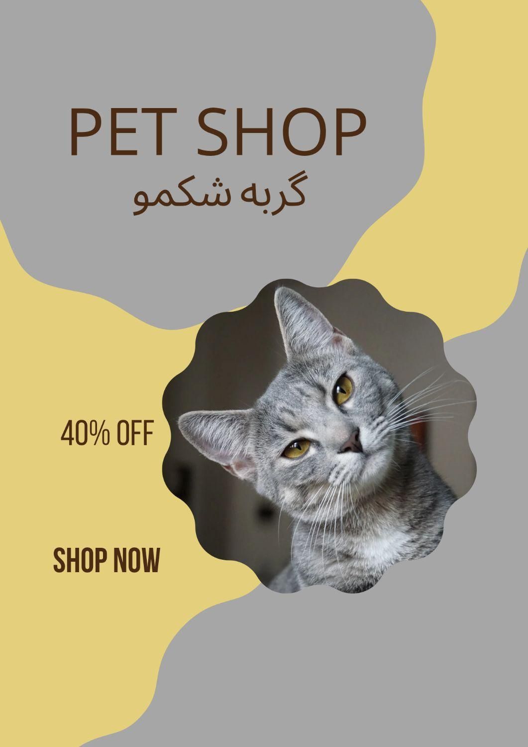 فروش انواع غذای گربه و سگ با قیمت مناسب|لوازم جانبی حیوانات|بندرعباس, |دیوار