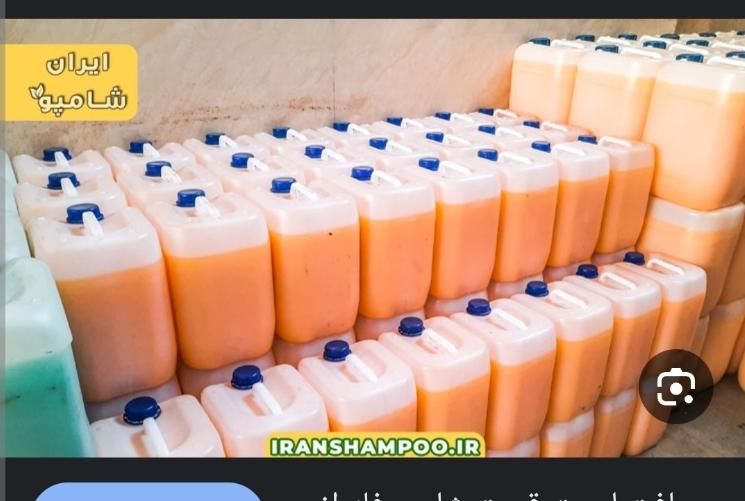 شامپو فرش شویی صنعتی قالیشویی دستی وماشینی|خدمات نظافت|مشهد, بهمن|دیوار