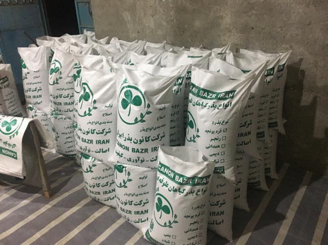 بذر قره یونجه اصلاح شده|عمده‌فروشی|میاندوآب, |دیوار