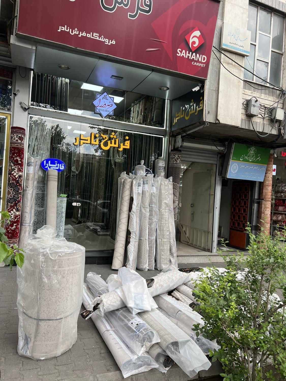 فرش ۶ متر ترک ۱۲۰۰ شانه با پادری( بیش از ۲۱۰ طرح )|فرش|تبریز, |دیوار