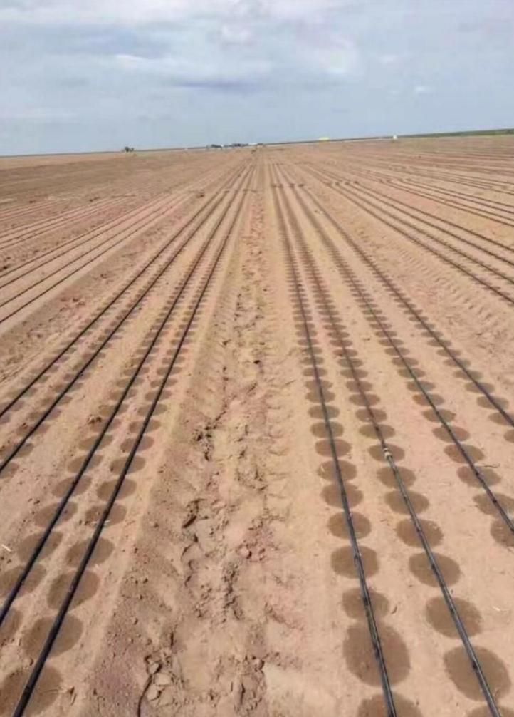 تولید نوار تیپ|عمده‌فروشی|اصفهان, ارداجی|دیوار