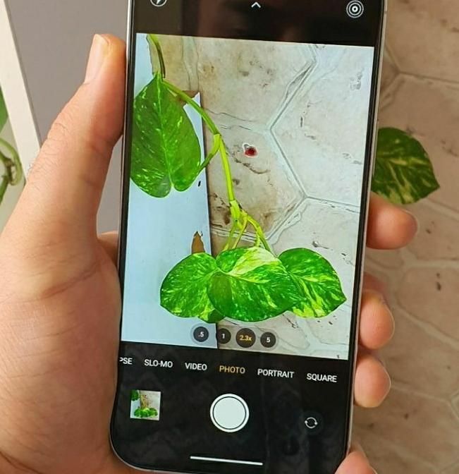 اپل iPhone 16 Pro با حافظهٔ ۲۵۶ گیگابایت|موبایل|صدرا-فارس, |دیوار