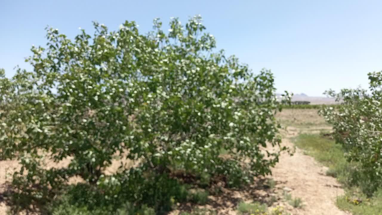 تصویر 2