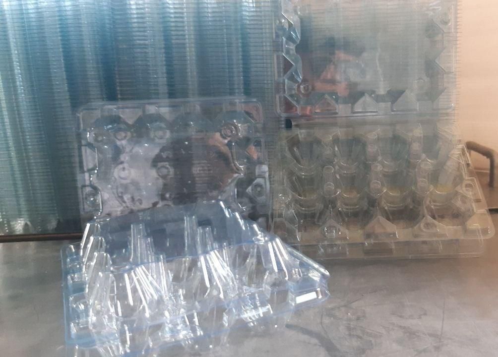 پک بهداشتی جهت بسته بندی تخم بلدرچین(12عددی)|عمدهفروشی|سبزوار, |دیوار