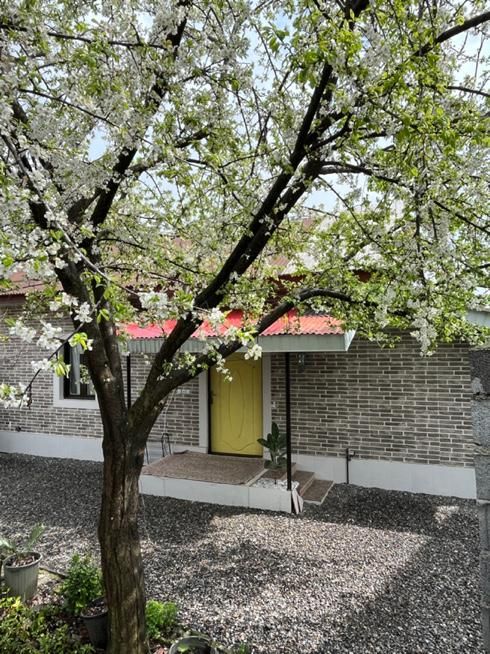 اجاره ویلای ساحلی نشتارود دربست|اجارهٔ کوتاهمدت آپارتمان و سوئیت|نشتارود, |دیوار