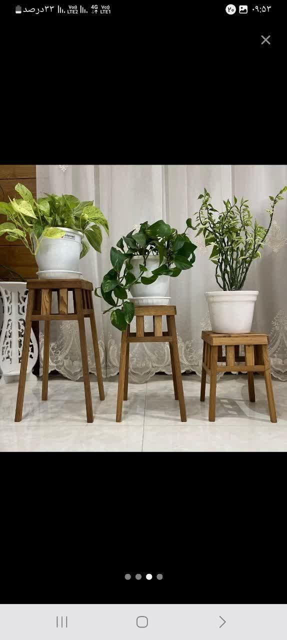 استندگل چهارپایه سه عددباهم۳۰۰زیرقیمت بازار|گل و گیاه طبیعی|اصفهان, باتون|دیوار