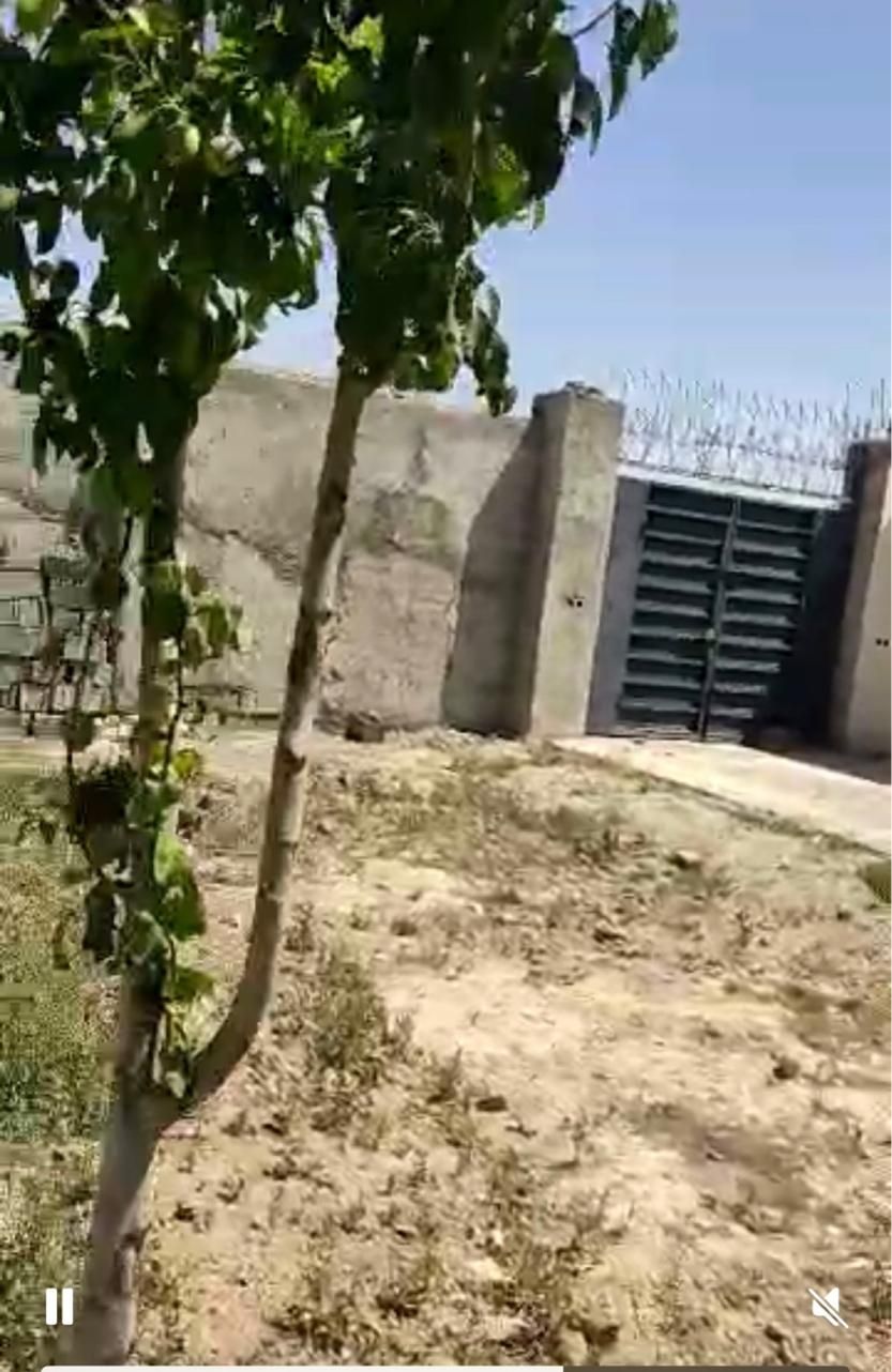 فروش باغچه باغی زمین چهار دیواری سهیلیه ۴۰۰ متر|فروش زمین و ملک کلنگی|کرج, کمال‌شهر|دیوار