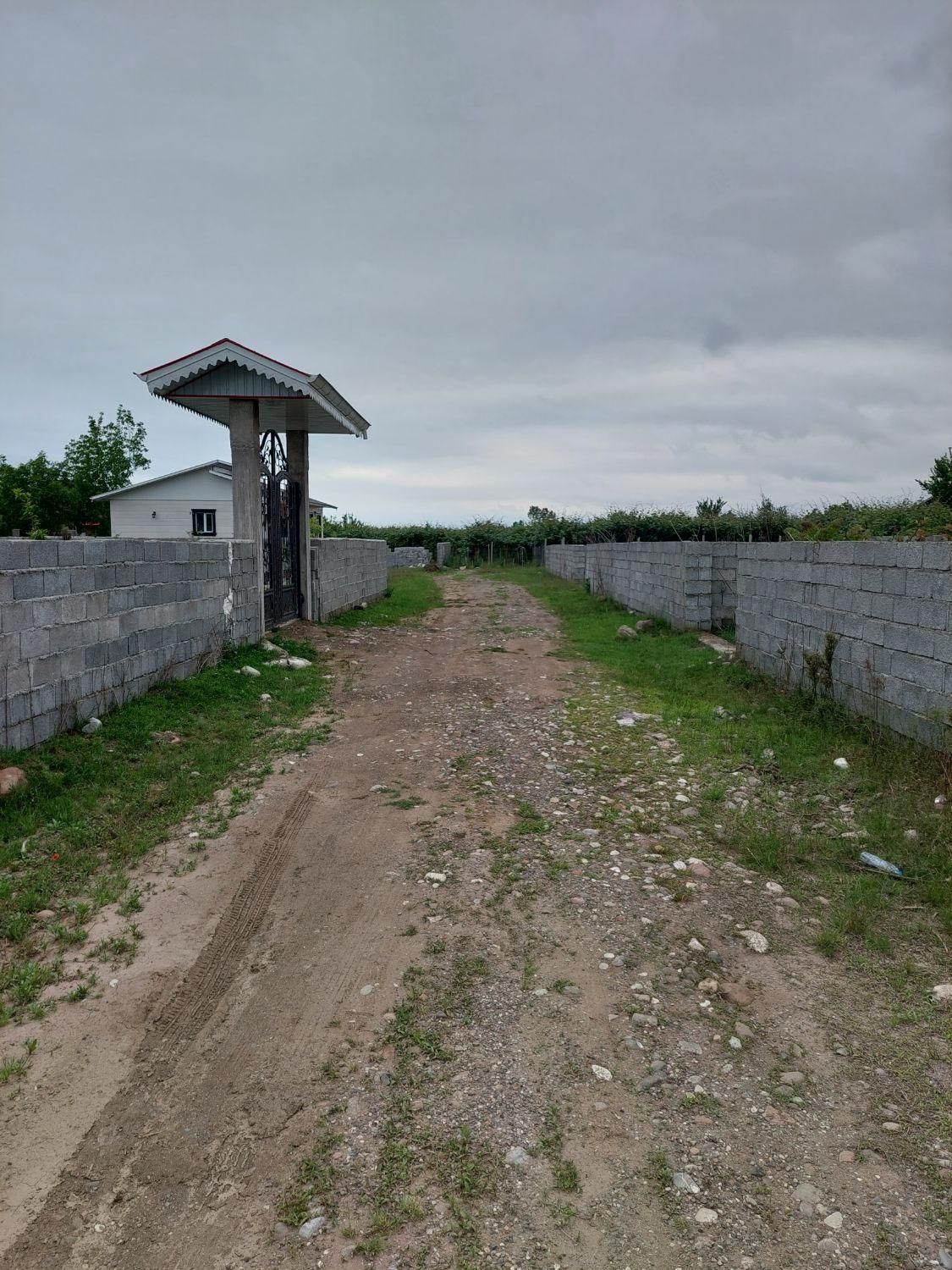 زمین مسکونی سند تک برگ لیسار|فروش زمین و ملک کلنگی|تالش, هشتپر|دیوار