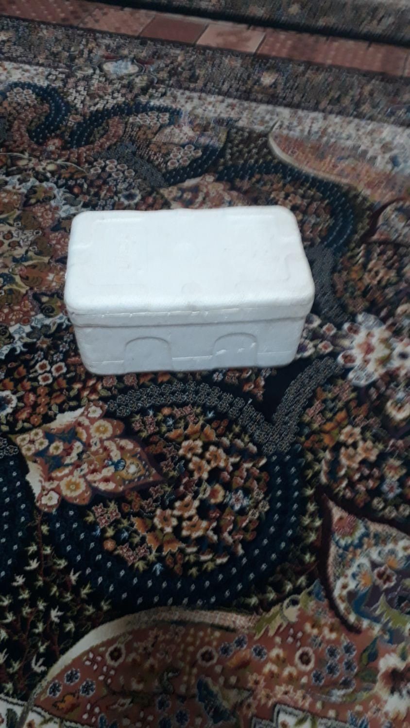 فوم ویخدان درچنداندازه مختلف|ظروف نگهدارنده، پلاستیکی، یک‌بارمصرف|اسلام‌شهر, |دیوار
