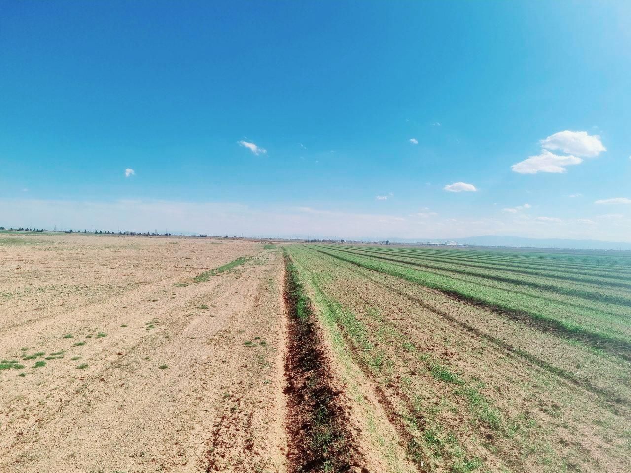 ده هزار مترمربع زمین کشاورزی باغی|فروش دفتر صنعتی، کشاورزی، تجاری|صباشهر, |دیوار