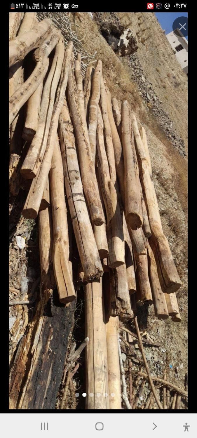 خریدار چوب|خدمات باغبانی و درختکاری|سنندج, |دیوار