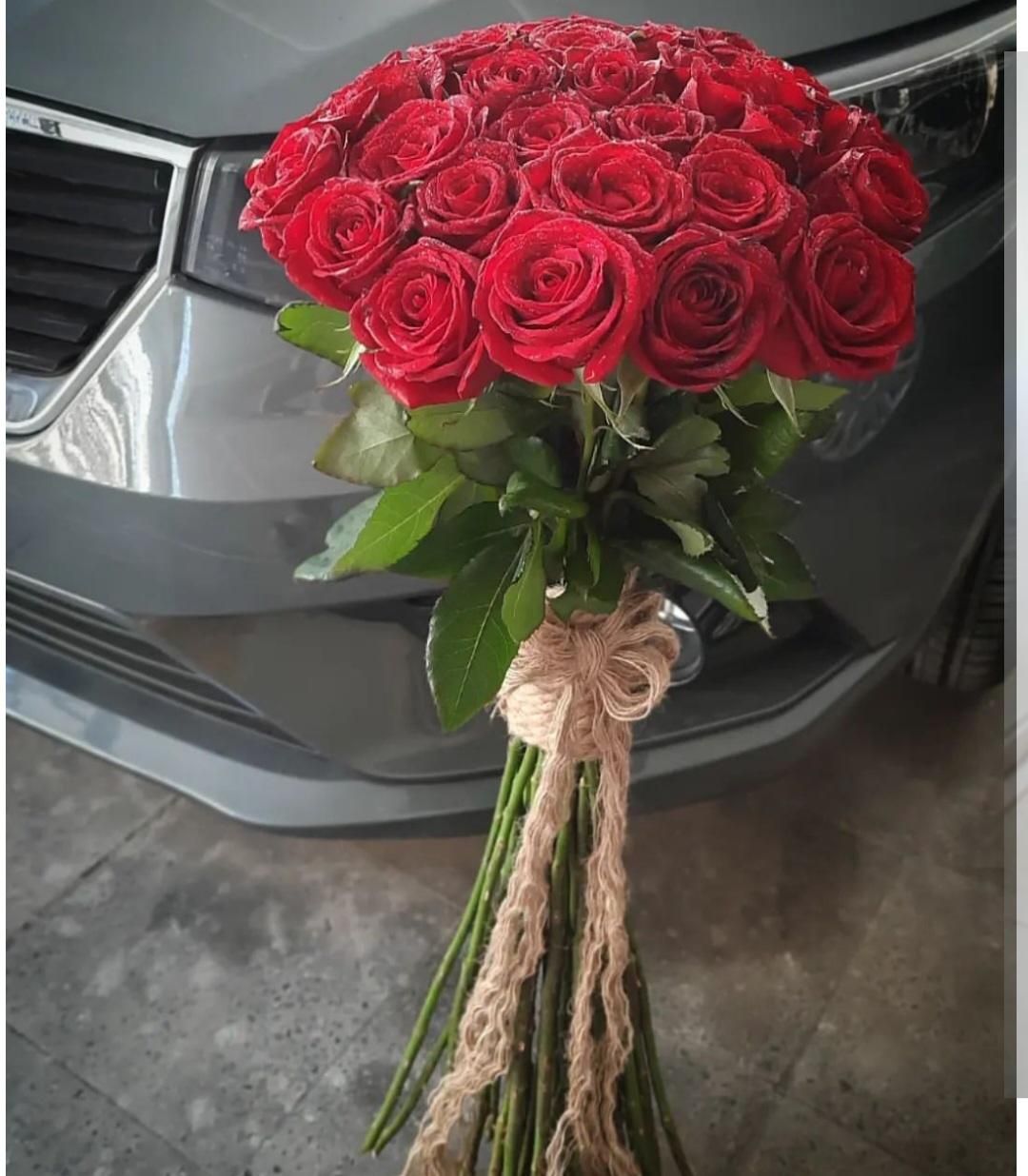 تاج گل.بله برون جام گل.|گل و گیاه طبیعی|تهران, افسریه شمالی|دیوار