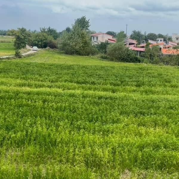 اجاره ویلا استخردار و جکوزی|اجارهٔ کوتاهمدت ویلا و باغ|نور, |دیوار