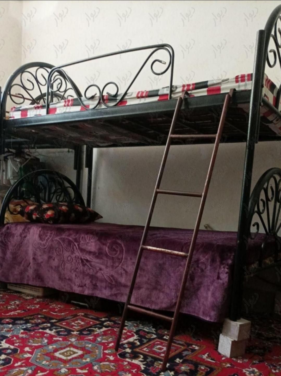 خوابگاه دخترانه کارمندی|اجارهٔ خانه و ویلا|شیراز, زند|دیوار