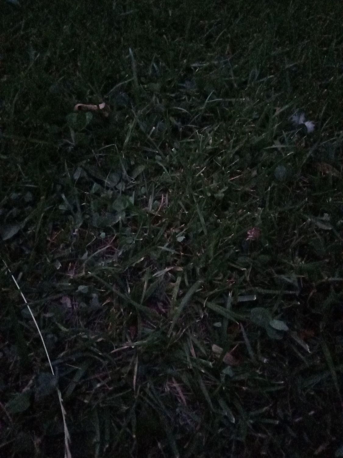 null