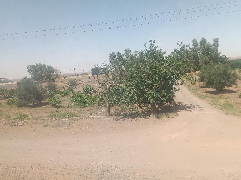مسافر صب ساعت پنج زابل به نهبندان|اشتراک سفر|زابل, |دیوار