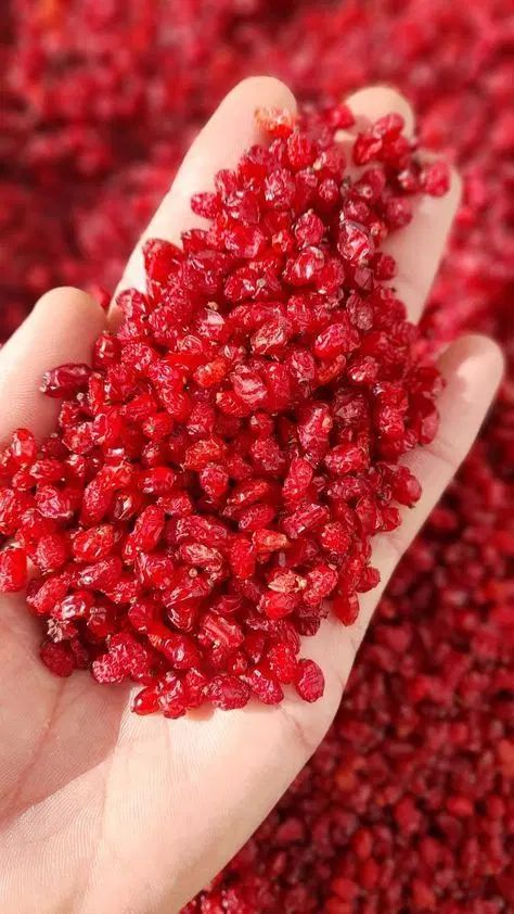 عطارباشی|خوردنی و آشامیدنی|اصفهان, بهارستان (مخابرات)|دیوار